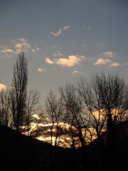 à l'est s'inventent des incendies à l'est s'inventent des incendies - soleil se levant derrière des arbres sans feuilles