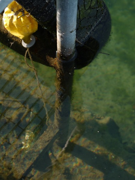 vieille bouteille de bière vide, ballon de baudruche dégonflé, rouille
