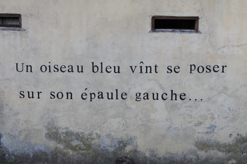 phrase écrite sur le mur: "L'oiseau bleu vint se poser sur son épaule gauche"