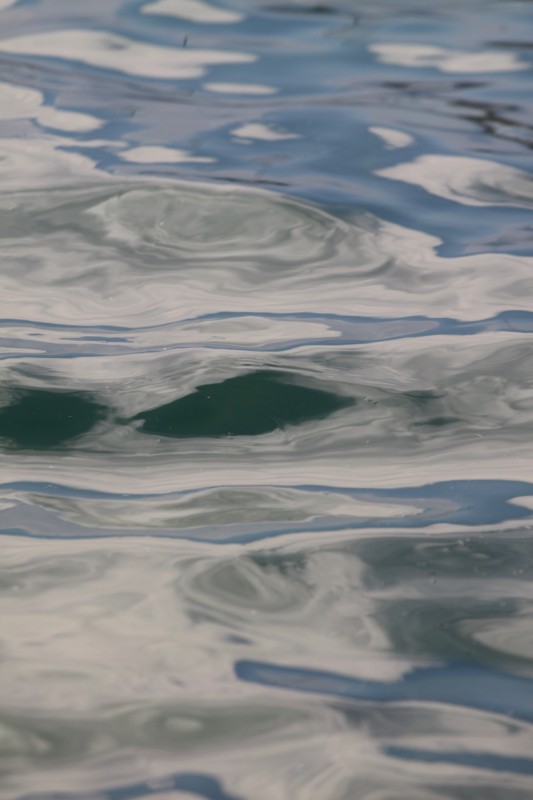 reflets gris- bleu sur la surface agitée de l'eau du lac