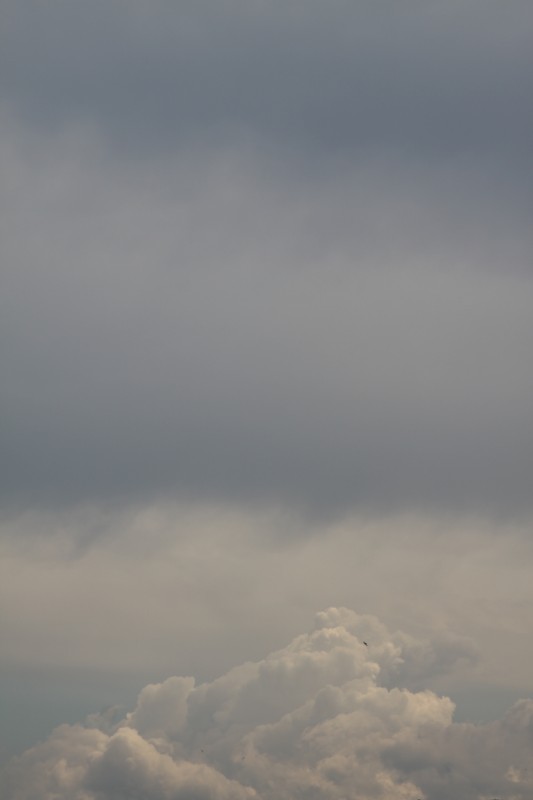 ciel lourd et nuageux recouvrant des nuages cotoneux et blancs