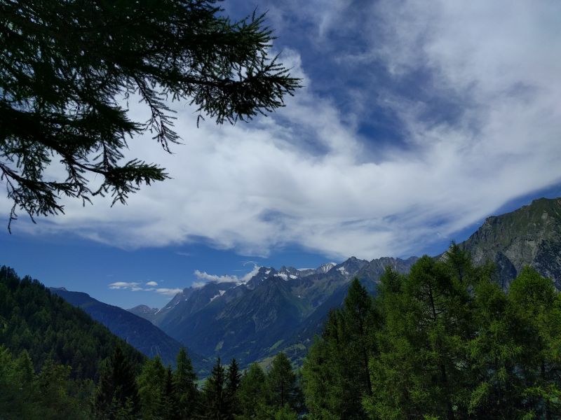 Val Ferret avec au premier plan des Mélèzes