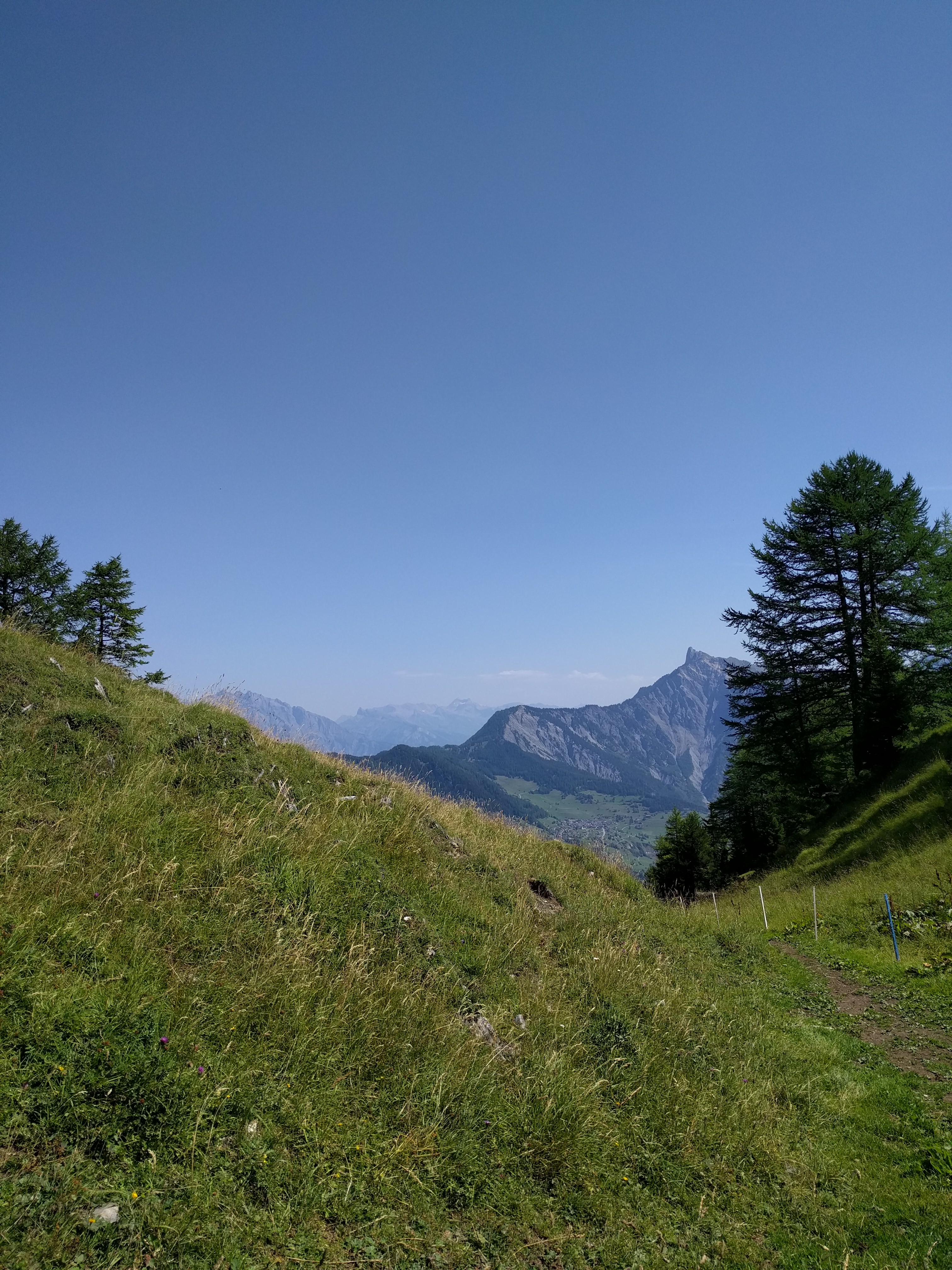 Prairie dans un petit val, au-dessus de l'alpage de Catogne, avec vue sur la Pierre-à-voir