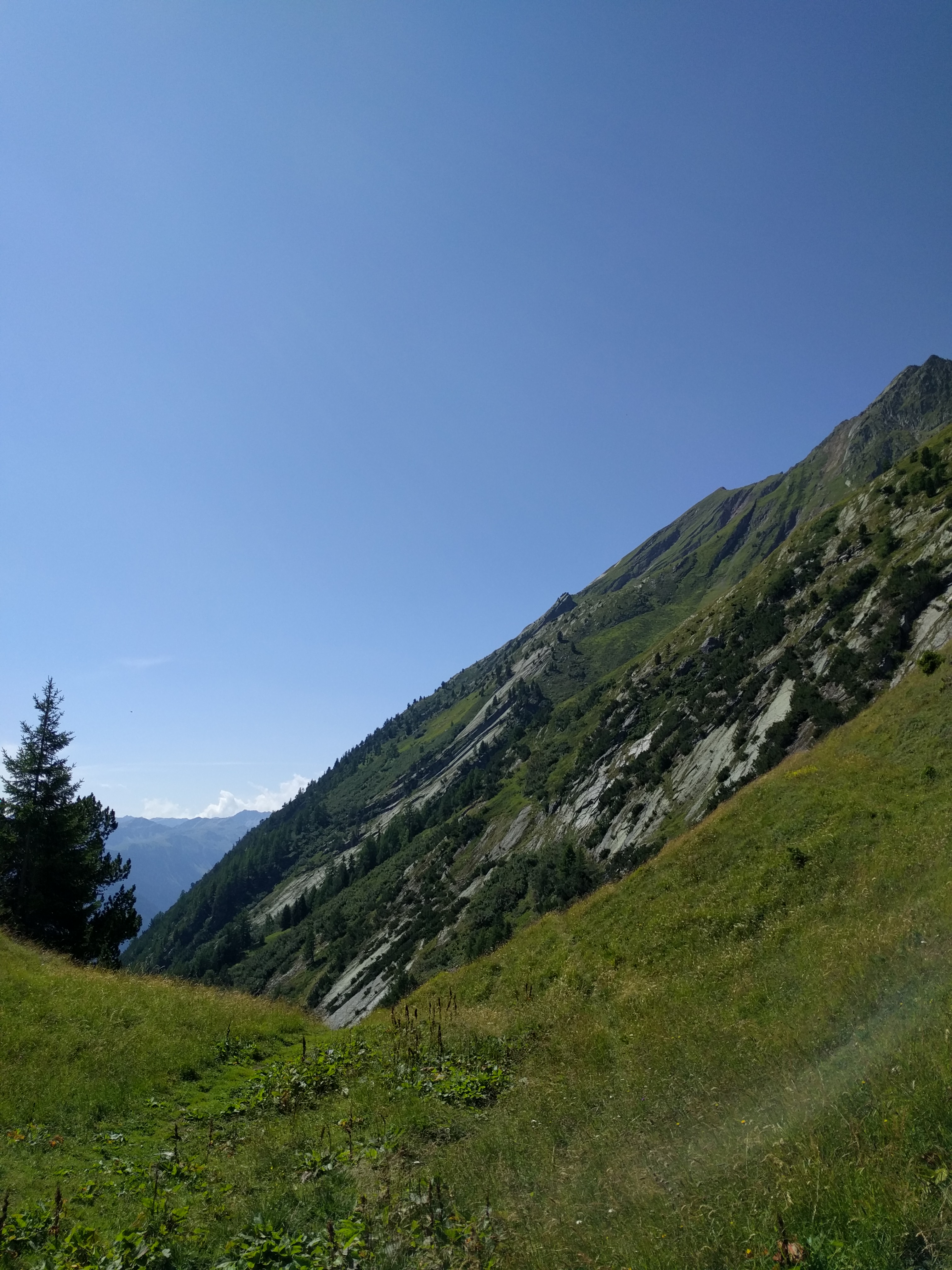 Prairie dans un petit val, au-dessus de l'alpage de Catogne, avec vue sur le Catogne