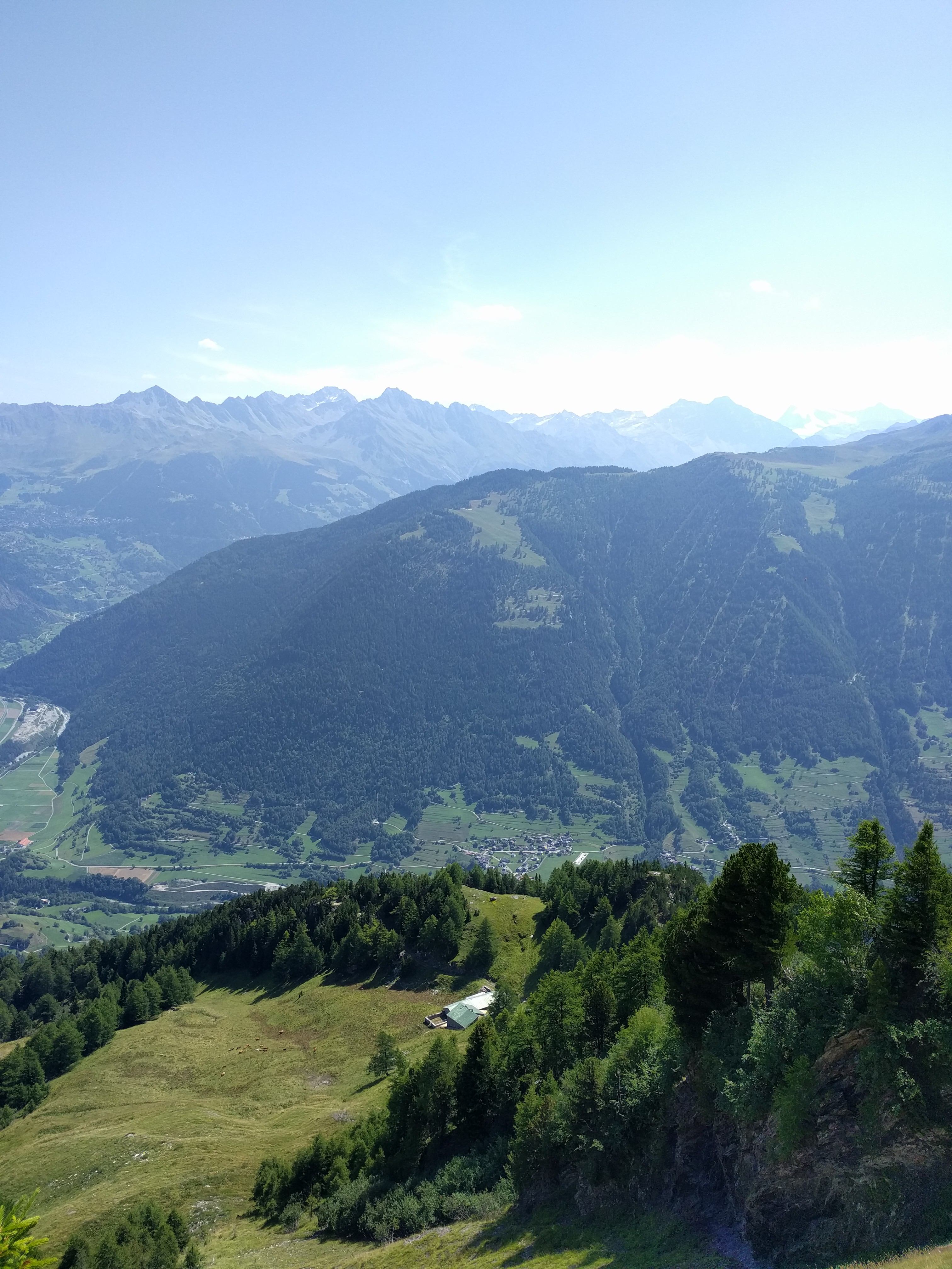 Vue sur l'alpage de Catogne, Chamoille, Le Larzet
