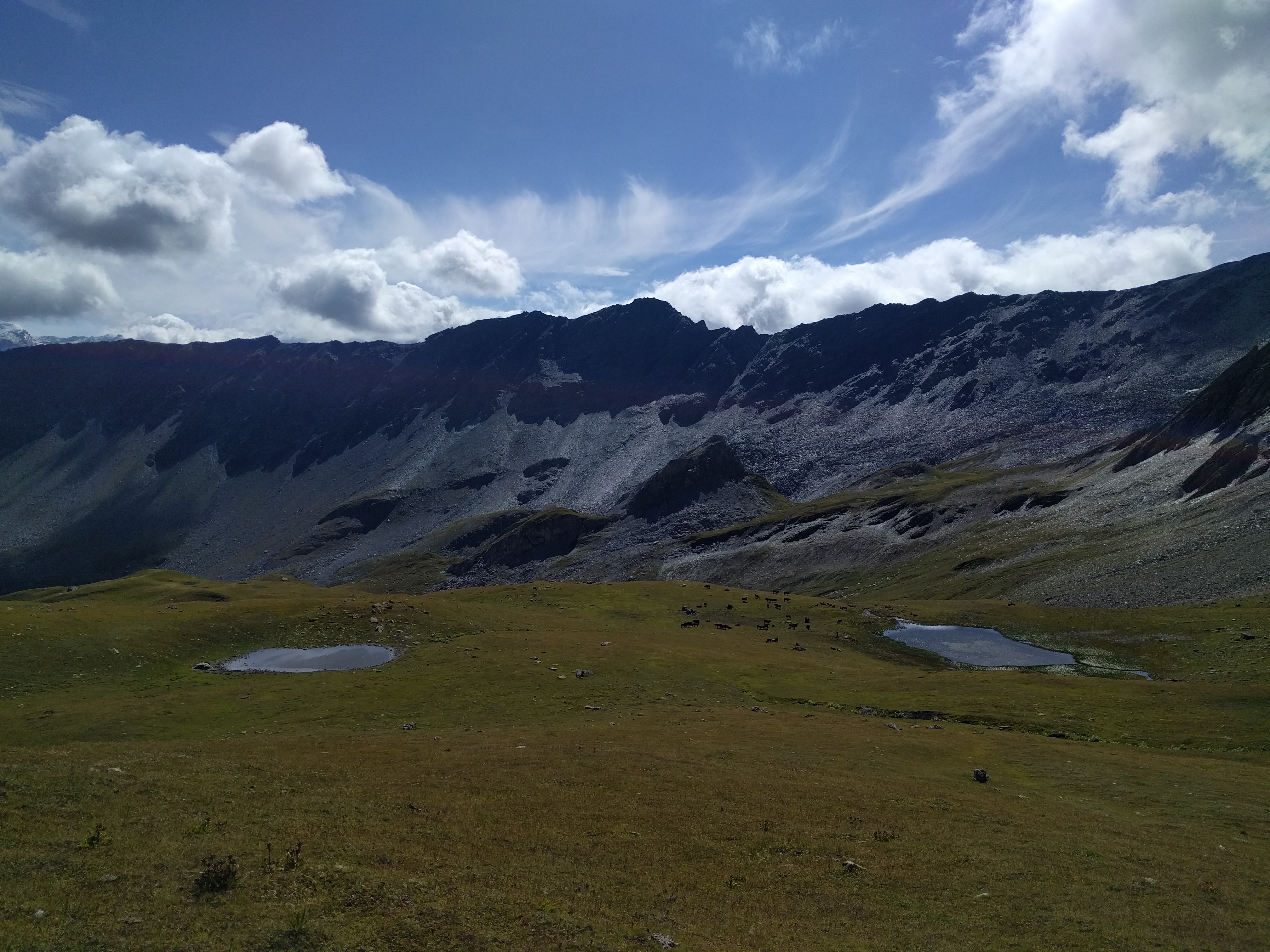 Fond de vallé, pâturage, vaches, gouilles et cirques de montagnes très caillouteuses
