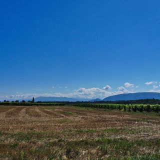 En train de charger...