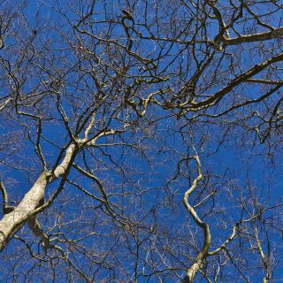 En train de charger...