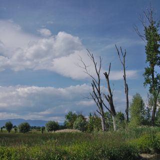 En train de charger...