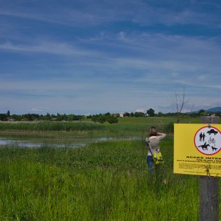 En train de charger...