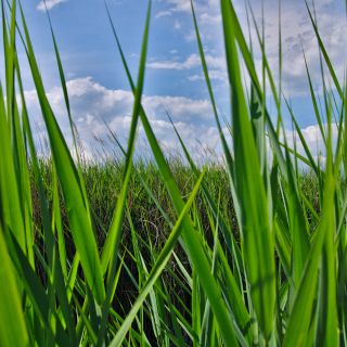 En train de charger...