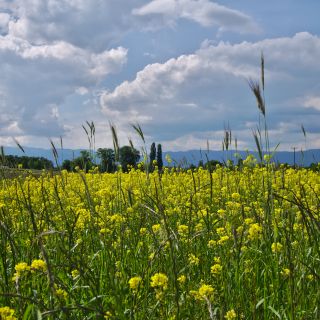 En train de charger...