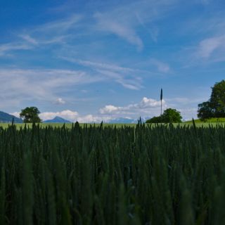 En train de charger...