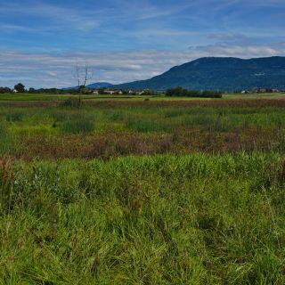 En train de charger...