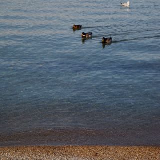 En train de charger...