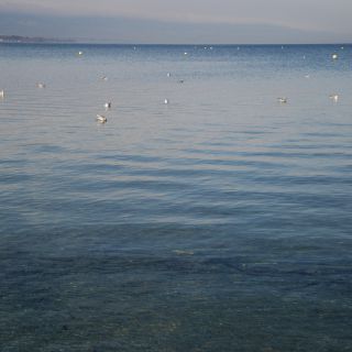 En train de charger...