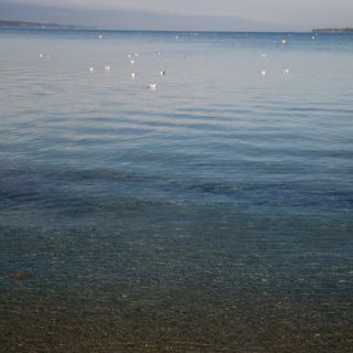 En train de charger...