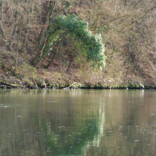 En train de charger...