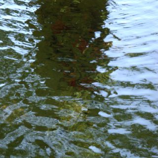 En train de charger...