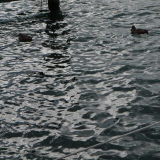 En train de charger...