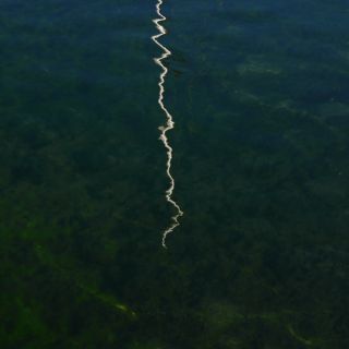 En train de charger...