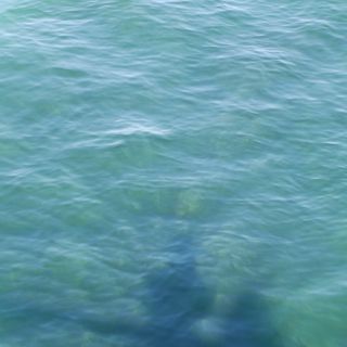 En train de charger...