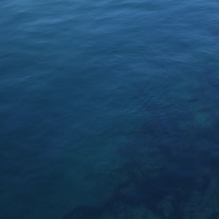 En train de charger...