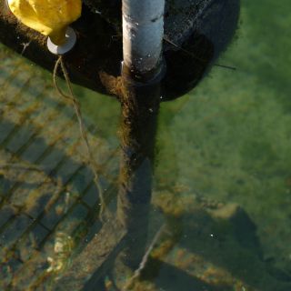 En train de charger...