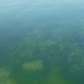 En train de charger...