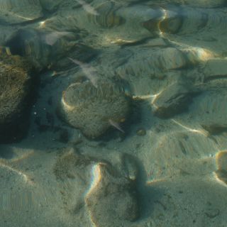 En train de charger...