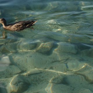 En train de charger...