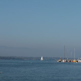 En train de charger...