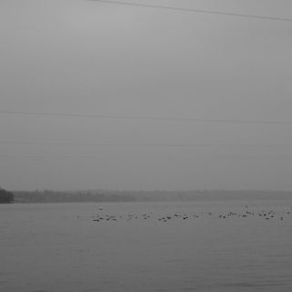 En train de charger...