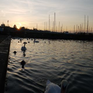 En train de charger...