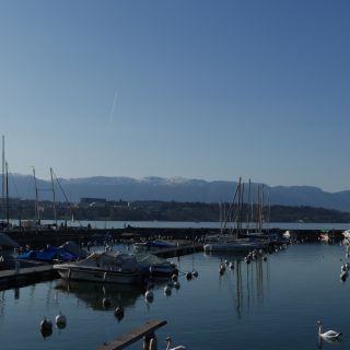 En train de charger...