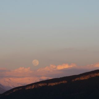 En train de charger...