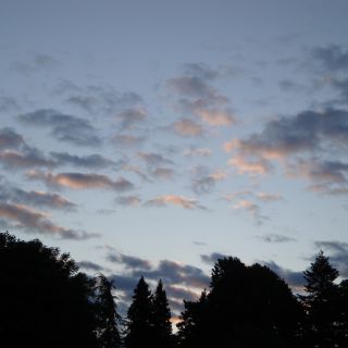 En train de charger...