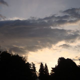 En train de charger...