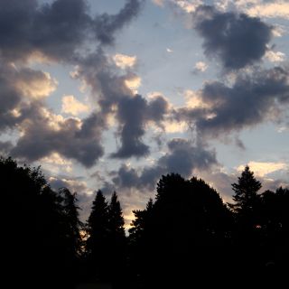 En train de charger...