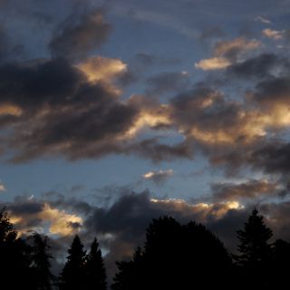 En train de charger...