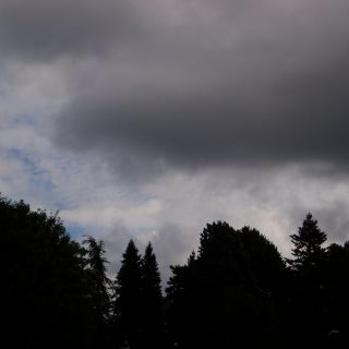 En train de charger...