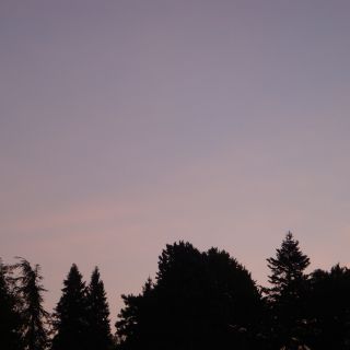 En train de charger...