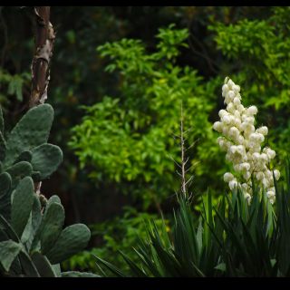 En train de charger...