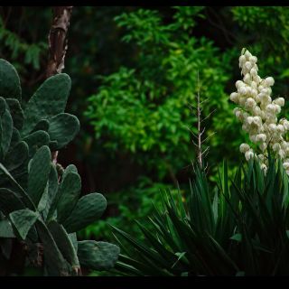 En train de charger...