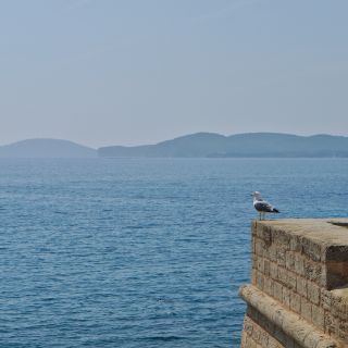 En train de charger...