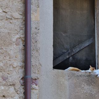 En train de charger...