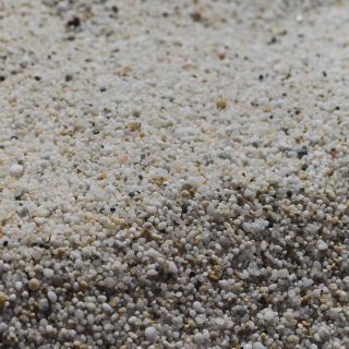 En train de charger...