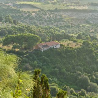 En train de charger...