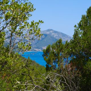 En train de charger...