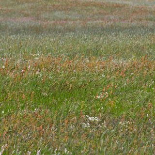 En train de charger...